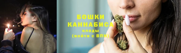 шишки Липки