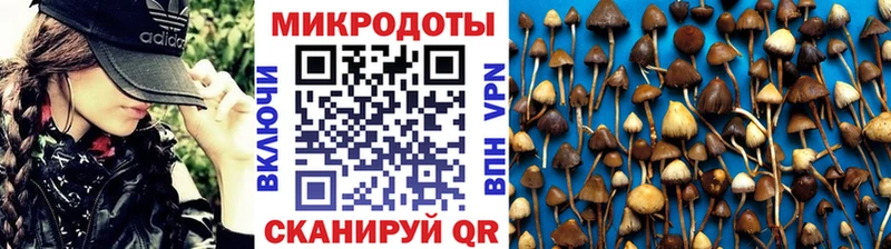 Галлюциногенные грибы мицелий  Купить  Венёв 